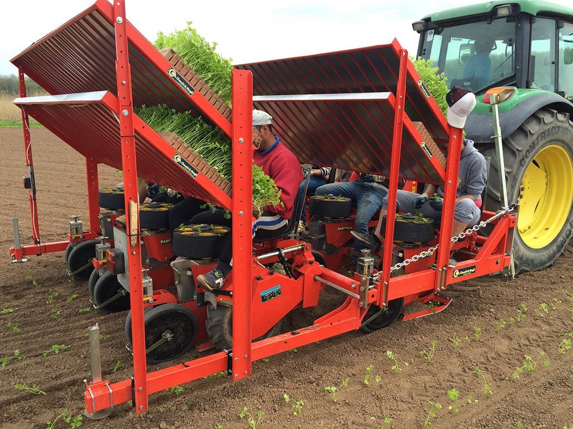 Row Baby Trium w/ Press Wheel