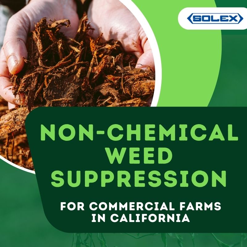 Non-Chemical Weed Suppression for Commercial Farms in California
